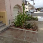 sfgarden